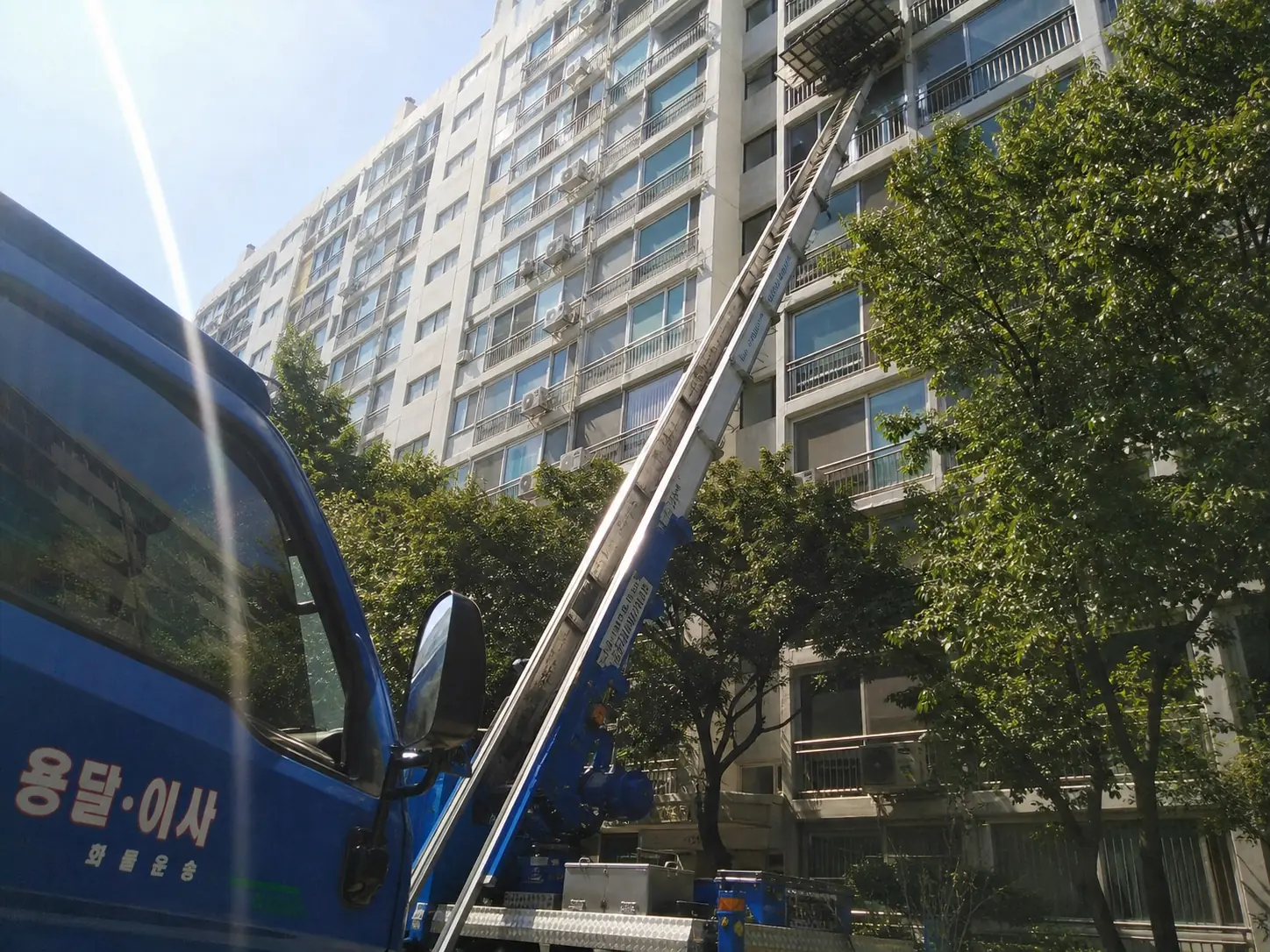 정식업체